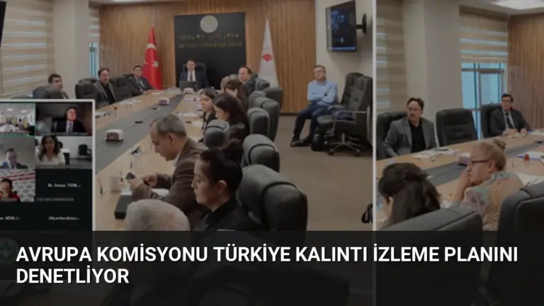 Avrupa Komisyonu Türkiye Kalıntı İzleme Planını Denetliyor