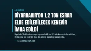 Diyarbakır’da 1,2 Ton Esrar Elde Edilebilecek Kenevir İmha Edildi