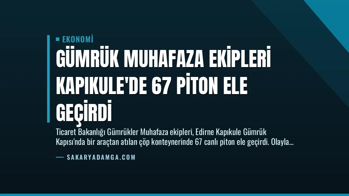 Gümrük Muhafaza Ekipleri Kapıkule’de 67 Piton Ele Geçirdi