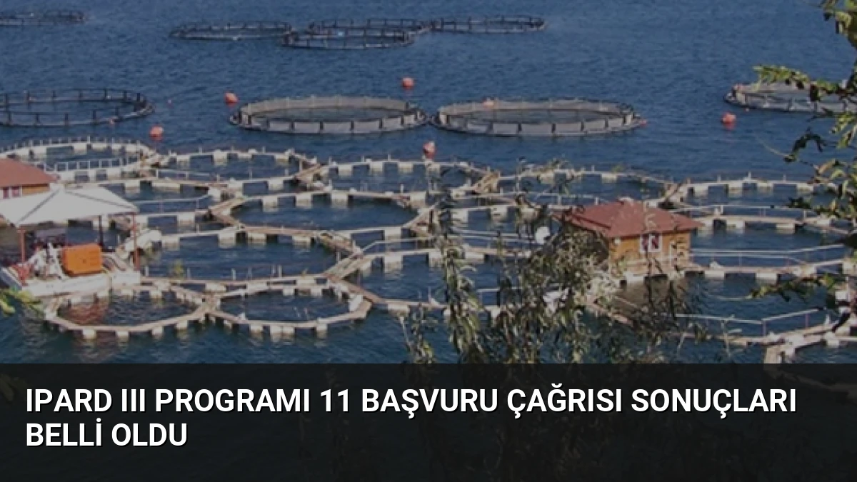 IPARD III Programı 11 Başvuru Çağrısı Sonuçları Belli Oldu