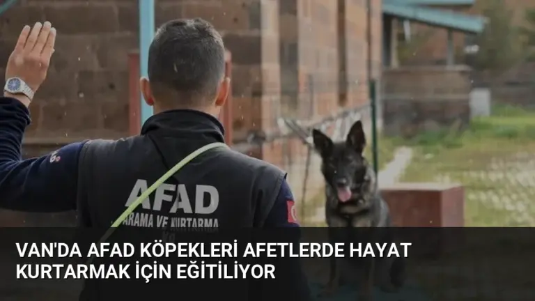 Van'da AFAD Köpekleri Afetlerde Hayat Kurtarmak İçin Eğitiliyor